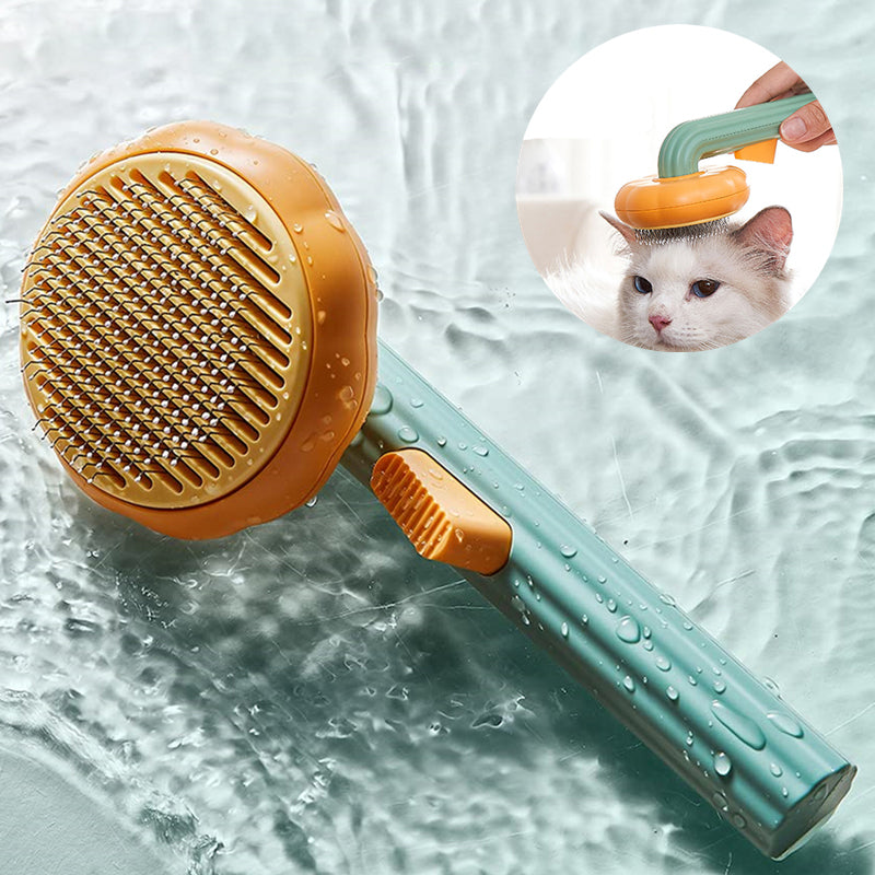 Dierenborstel